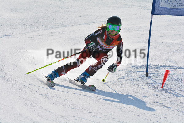 ASV Ziener Cuo V 2015