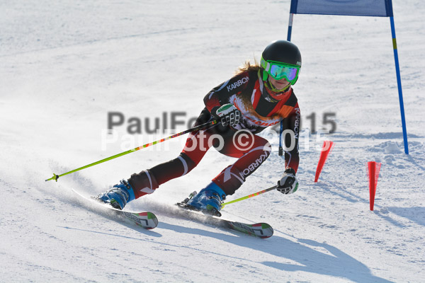 ASV Ziener Cuo V 2015