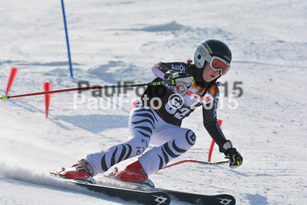 ASV Ziener Cuo V 2015