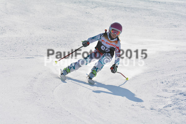 ASV Ziener Cuo V 2015