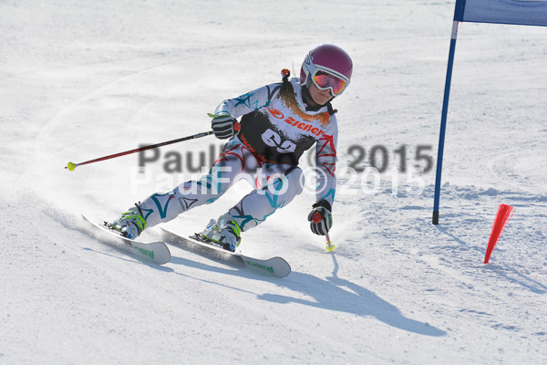 ASV Ziener Cuo V 2015