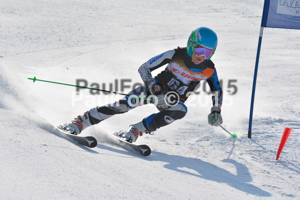 ASV Ziener Cuo V 2015