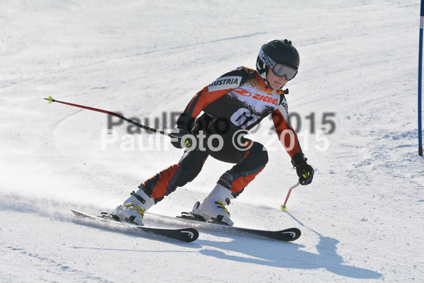 ASV Ziener Cuo V 2015