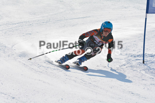 ASV Ziener Cuo V 2015