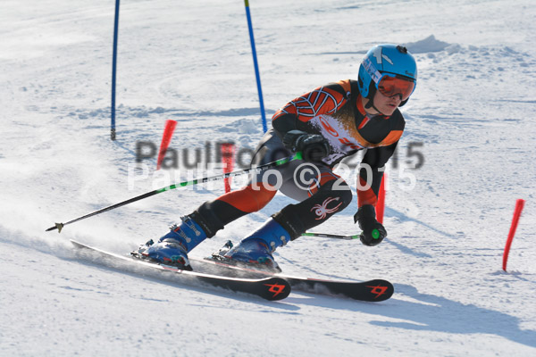 ASV Ziener Cuo V 2015