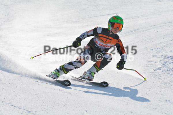ASV Ziener Cuo V 2015