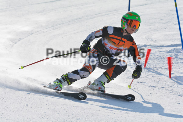 ASV Ziener Cuo V 2015