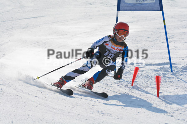 ASV Ziener Cuo V 2015