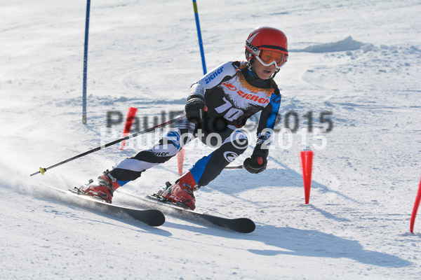 ASV Ziener Cuo V 2015