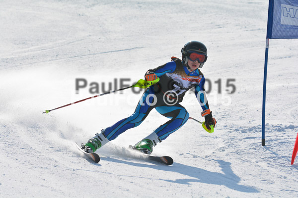 ASV Ziener Cuo V 2015