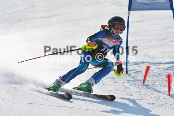 ASV Ziener Cuo V 2015