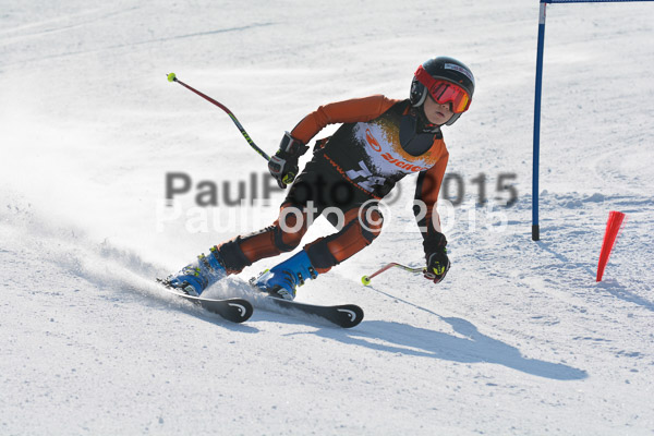 ASV Ziener Cuo V 2015