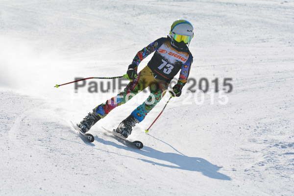 ASV Ziener Cuo V 2015
