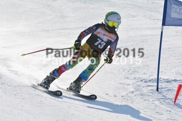ASV Ziener Cuo V 2015