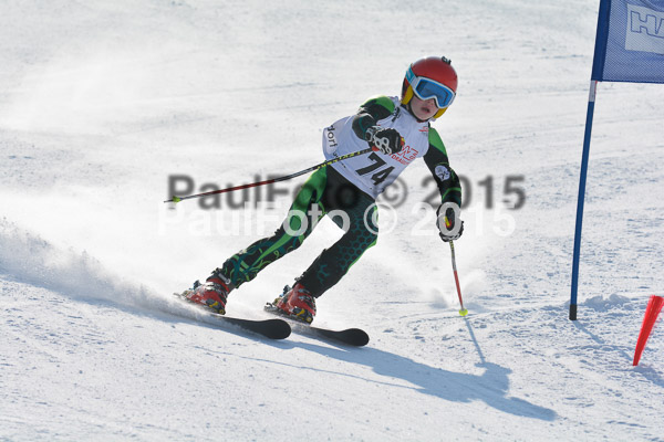 ASV Ziener Cuo V 2015
