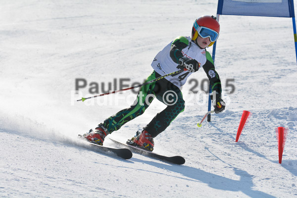 ASV Ziener Cuo V 2015