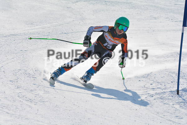ASV Ziener Cuo V 2015