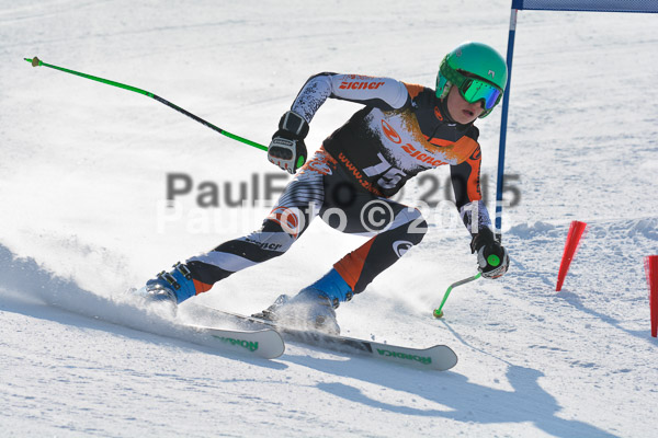 ASV Ziener Cuo V 2015