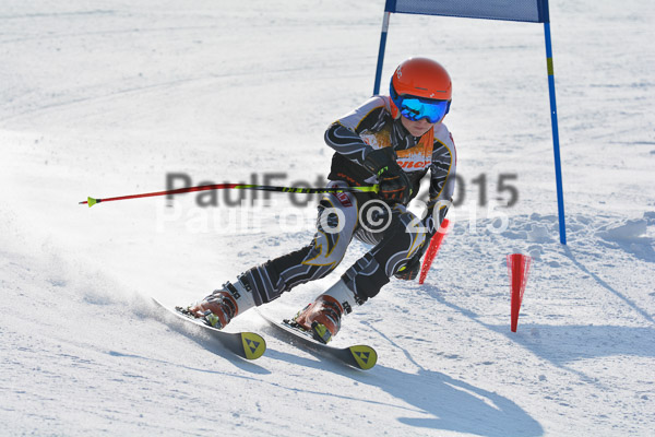 ASV Ziener Cuo V 2015