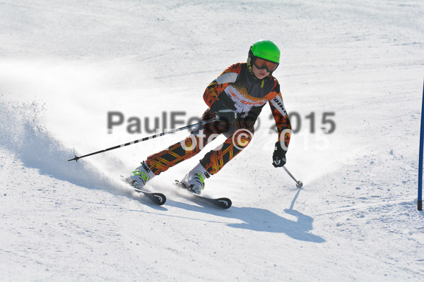 ASV Ziener Cuo V 2015