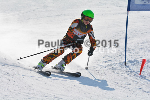 ASV Ziener Cuo V 2015