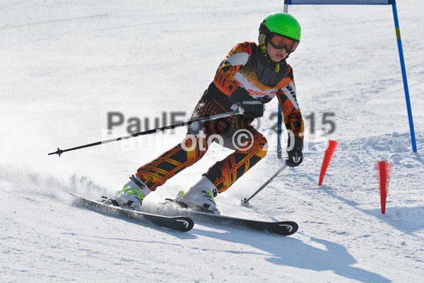 ASV Ziener Cuo V 2015
