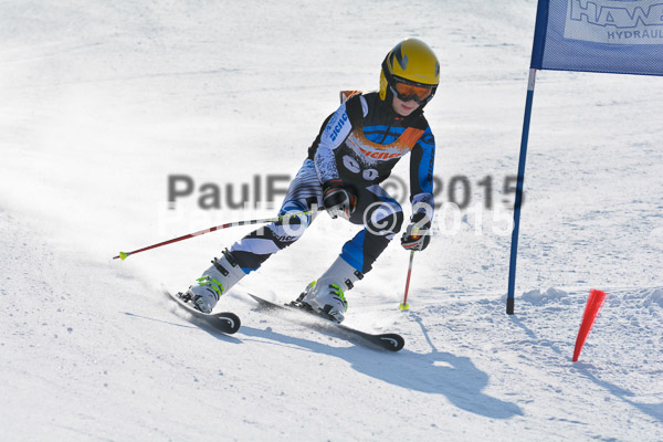 ASV Ziener Cuo V 2015