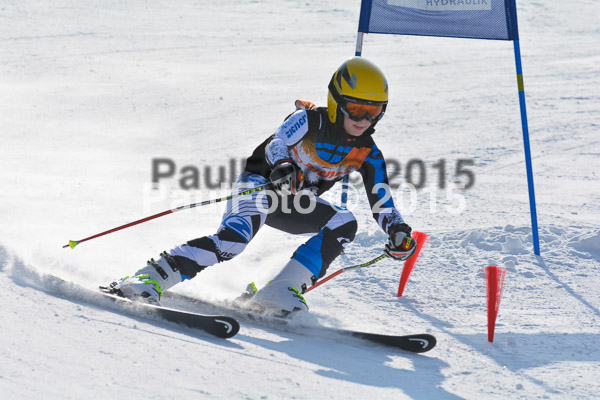 ASV Ziener Cuo V 2015