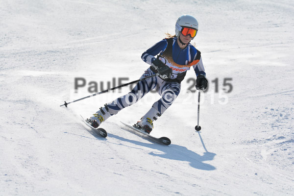 ASV Ziener Cuo V 2015