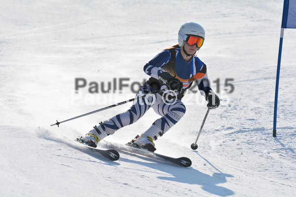 ASV Ziener Cuo V 2015
