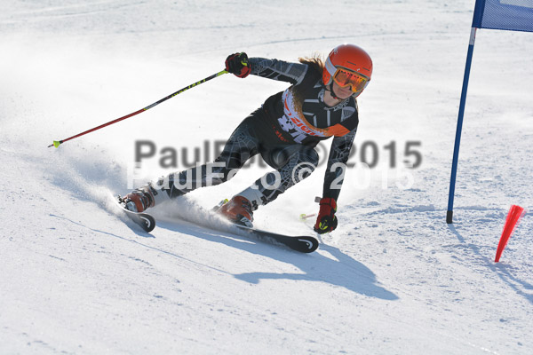 ASV Ziener Cuo V 2015