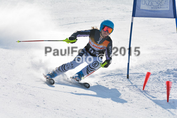 ASV Ziener Cuo V 2015