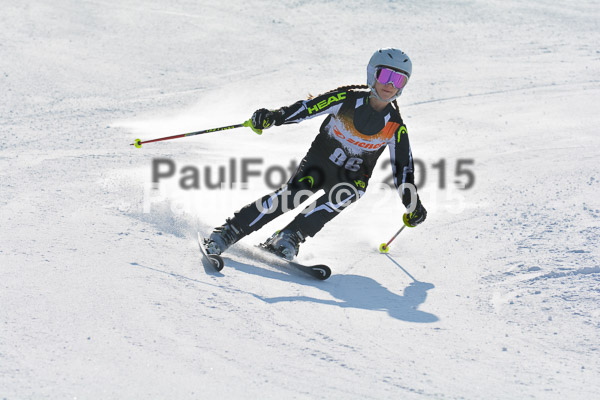 ASV Ziener Cuo V 2015