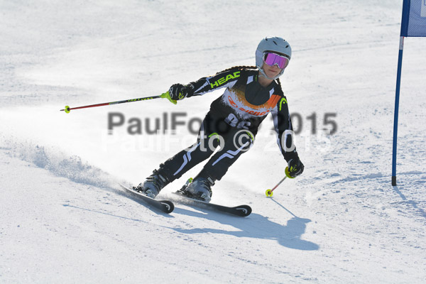ASV Ziener Cuo V 2015