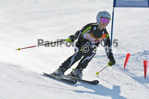 ASV Ziener Cuo V 2015