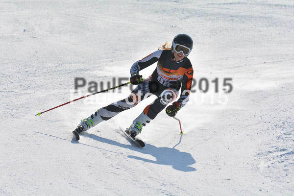 ASV Ziener Cuo V 2015