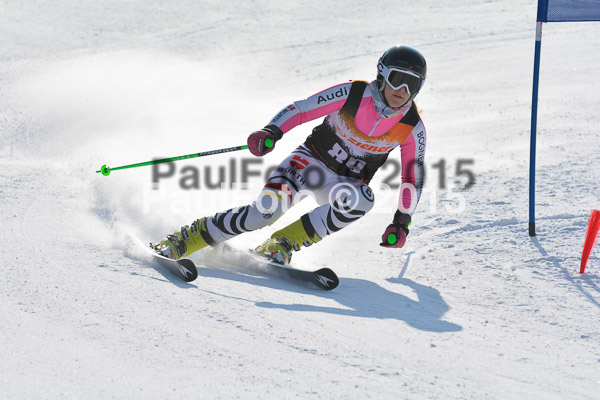 ASV Ziener Cuo V 2015