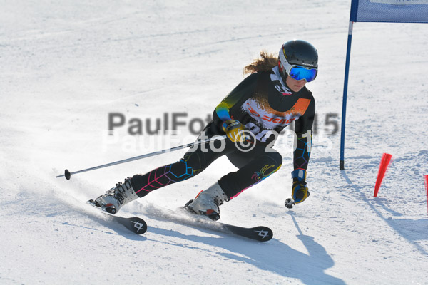 ASV Ziener Cuo V 2015