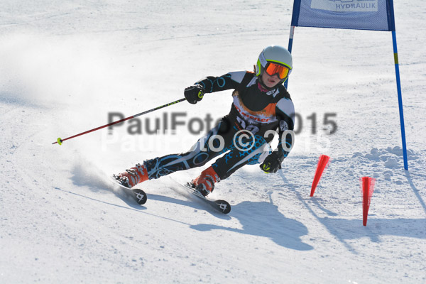 ASV Ziener Cuo V 2015