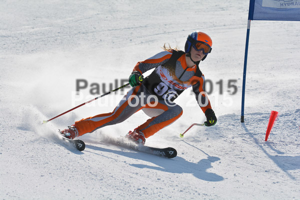ASV Ziener Cuo V 2015