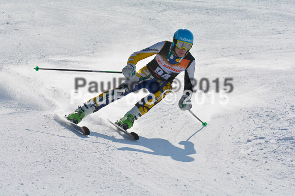ASV Ziener Cuo V 2015