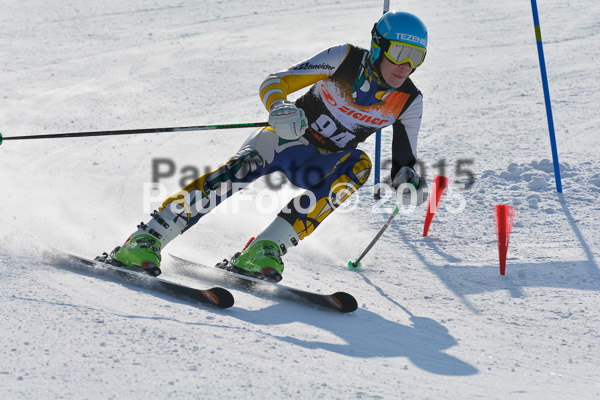 ASV Ziener Cuo V 2015