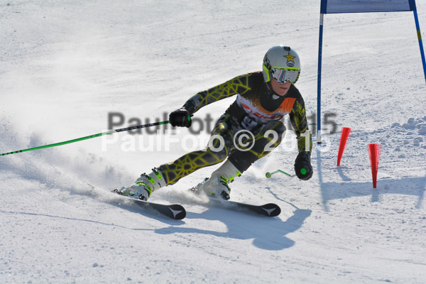 ASV Ziener Cuo V 2015