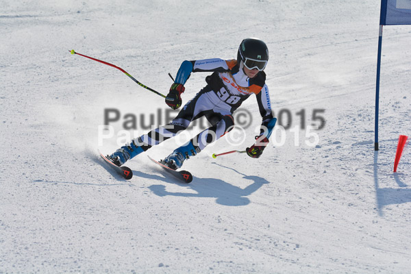 ASV Ziener Cuo V 2015