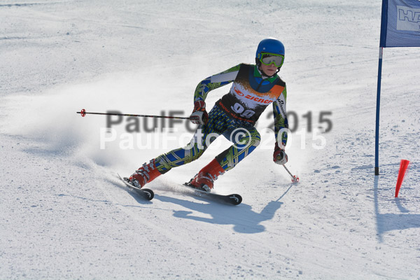 ASV Ziener Cuo V 2015