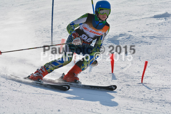 ASV Ziener Cuo V 2015