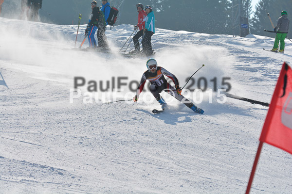 ASV Ziener Cuo V 2015