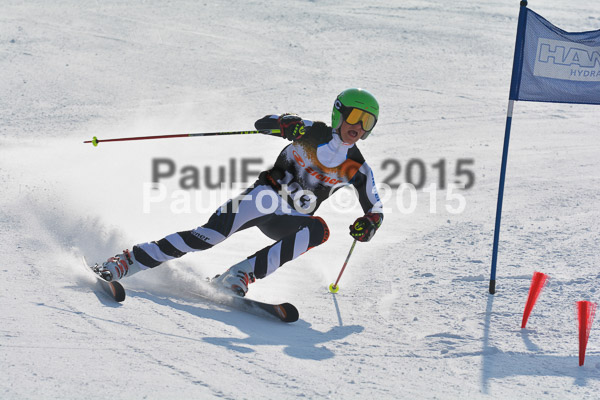 ASV Ziener Cuo V 2015
