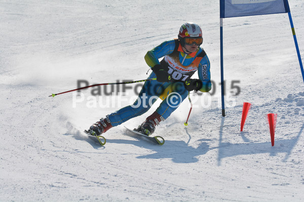 ASV Ziener Cuo V 2015