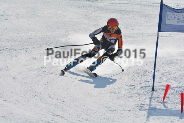 ASV Ziener Cuo V 2015